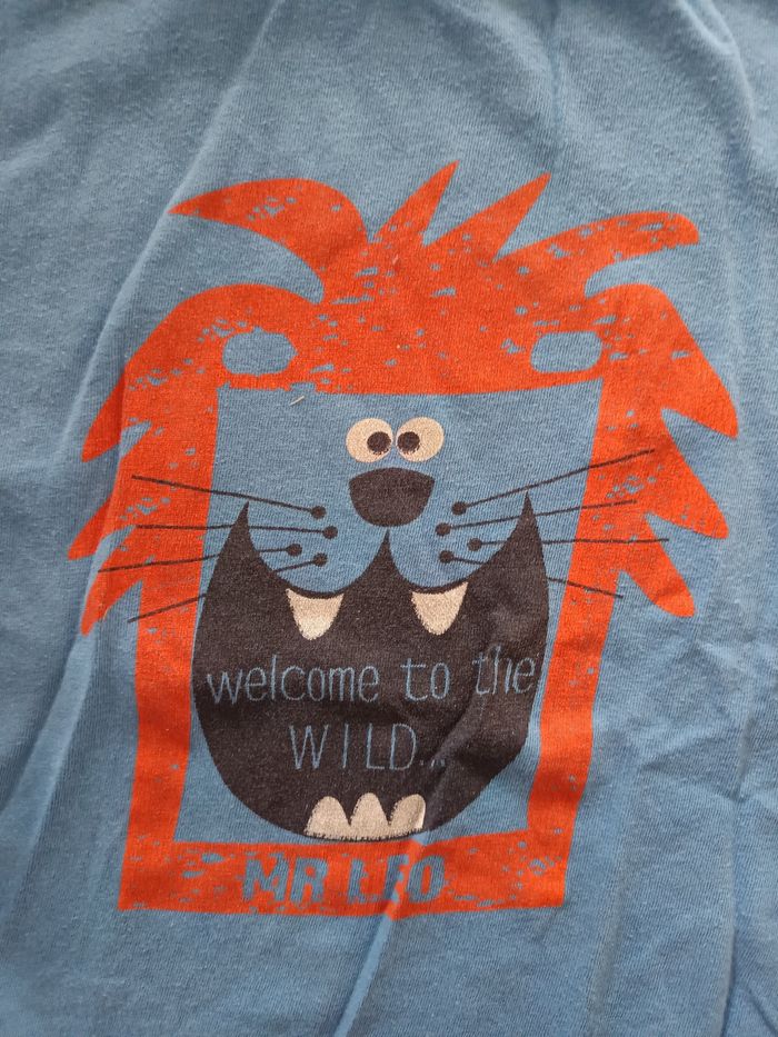 T-shirt lion 5 ans - photo numéro 2