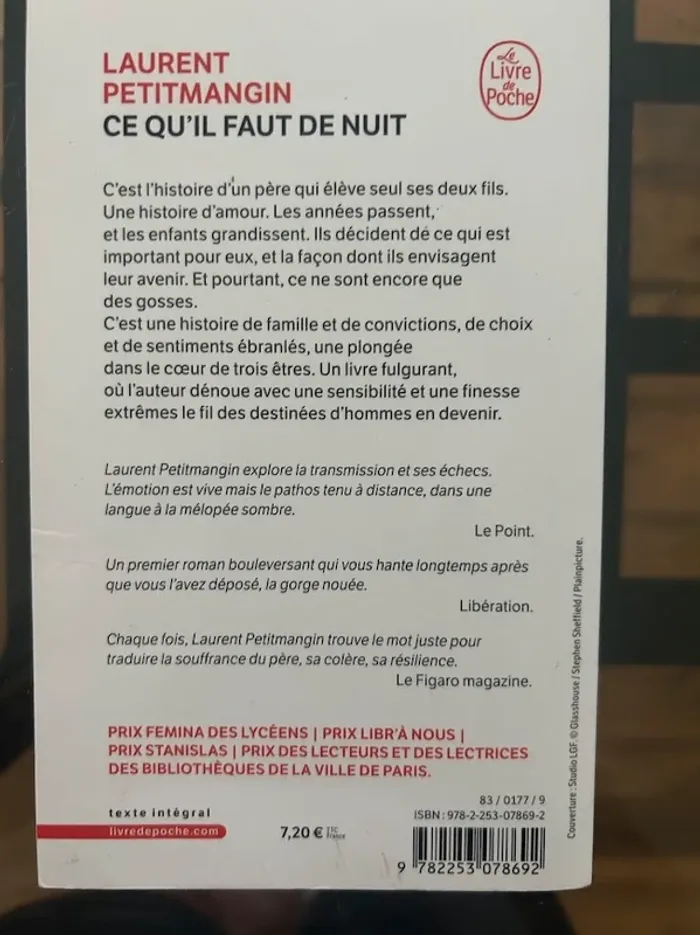 Ce qu'il faut de nuit - Laurent Petitmangin - photo numéro 2