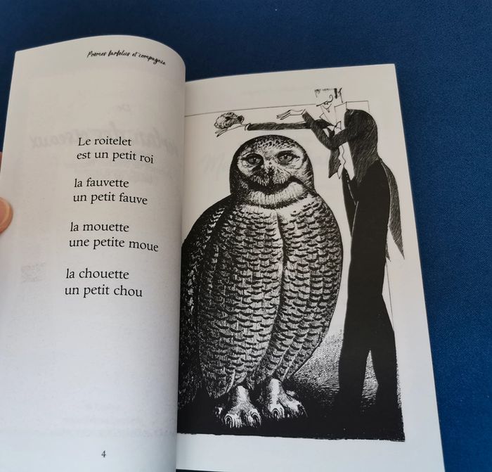 Poèmes farfelus et compagnie - photo numéro 3