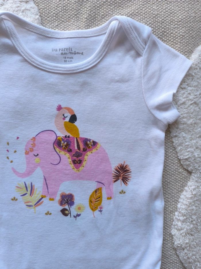 Body dpam - photo numéro 3