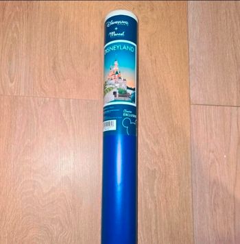 Affiche disney disneyland château 