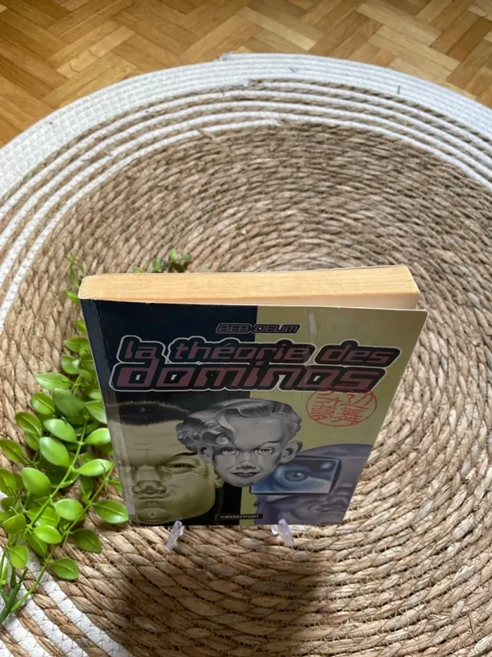 Livre - la théorie des dominos - photo numéro 2