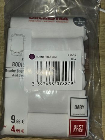 Lot body