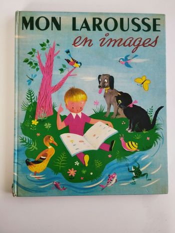 Livre Larousse enfant