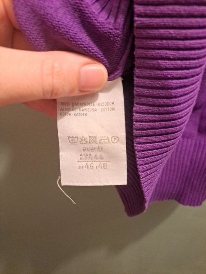 Pull taille 46 - photo numéro 3