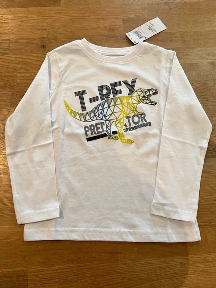 tee shirt manche longue dinosaure