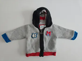 Veste polaire mickey