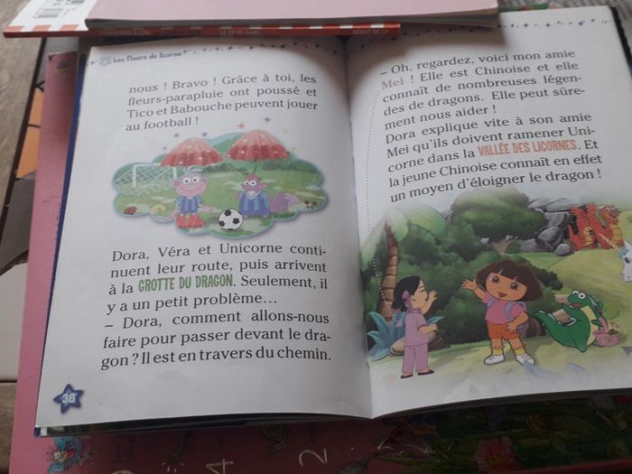 livres dora - photo numéro 6