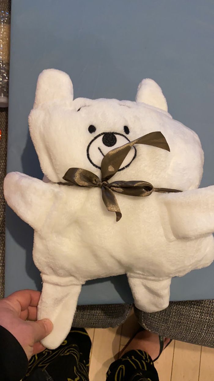 Couverture nounours deux en un - photo numéro 4