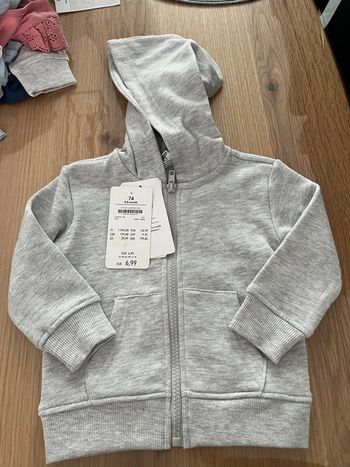 Gilet / veste