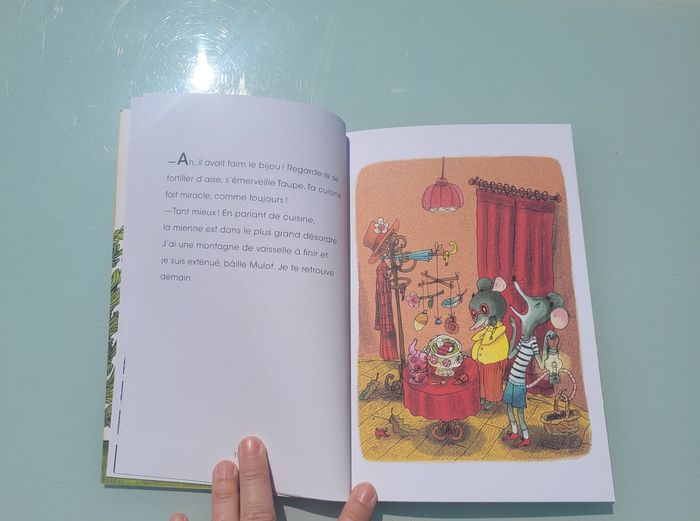 Les aventures de Taupe et Mulot tome 5 🦦 Apprendre à voler 🐀 - photo numéro 4