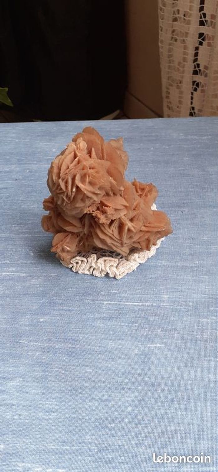 Rose des sables