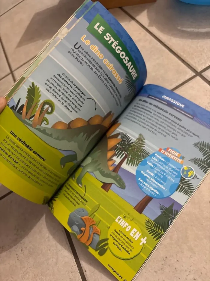 Livres infos activités dinosaures - photo numéro 8