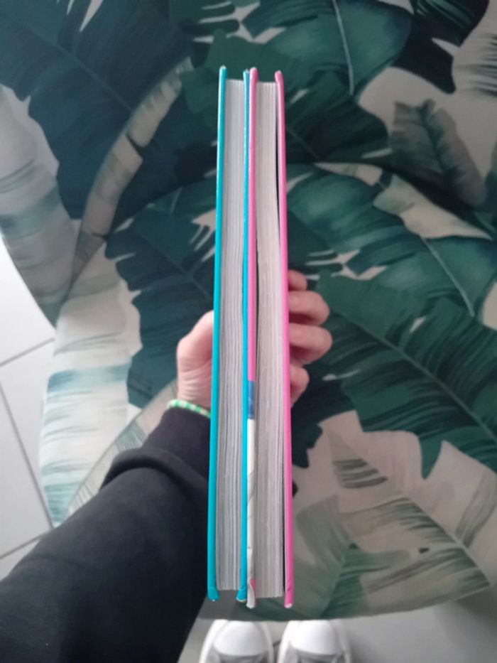 Lot de 2 livres disney tbe - photo numéro 5