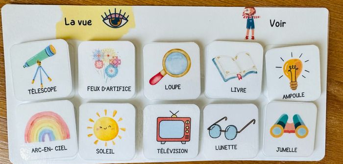 Jeu de reconnaissance des 5 sens, inspiration Montessori - photo numéro 4