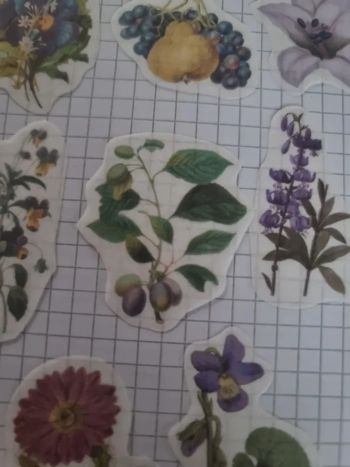 Lot stickers fleuri papier (lot D) - photo numéro 9