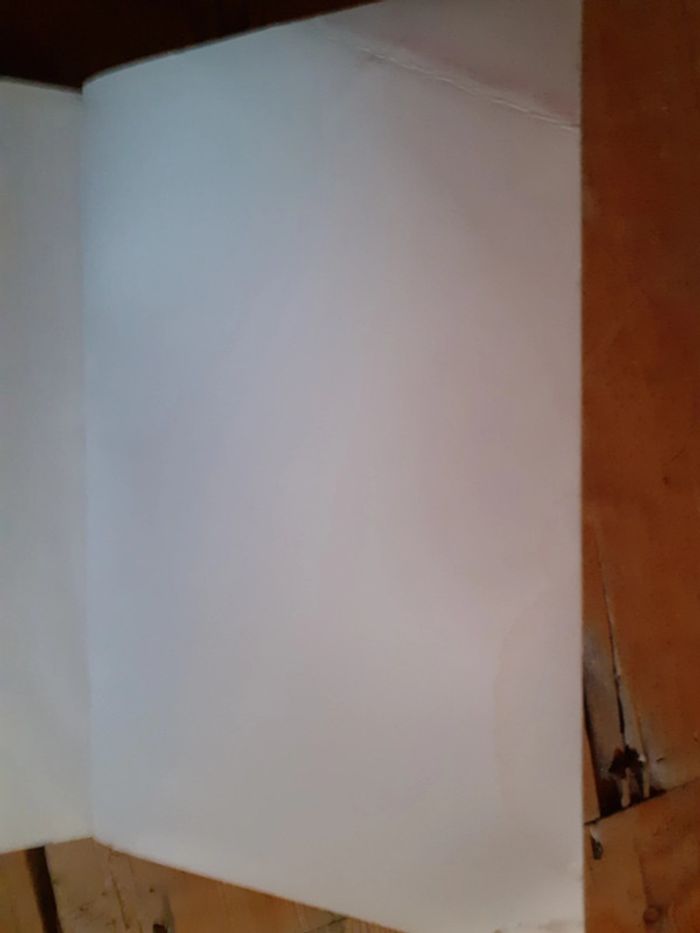 Les Pays bas Francais 1995 De Franse Nederlanden - photo numéro 4