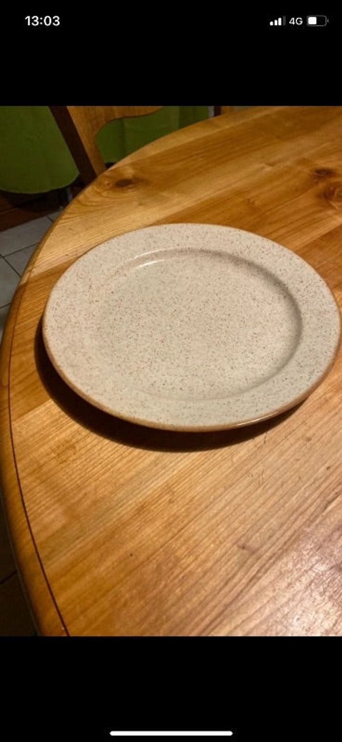 Grande assiette plate