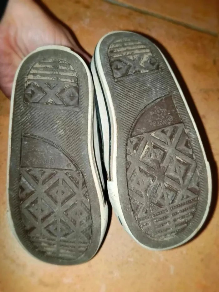 Converse serpent - photo numéro 4