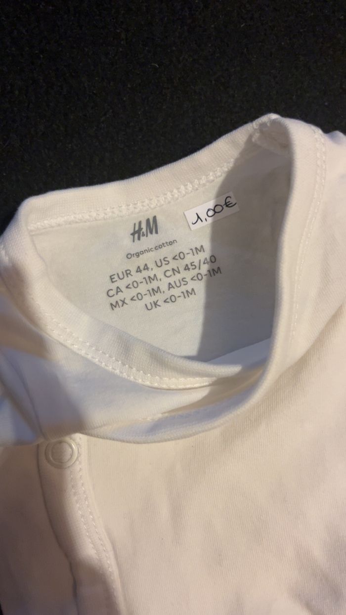 Bodie 0 mois - photo numéro 4