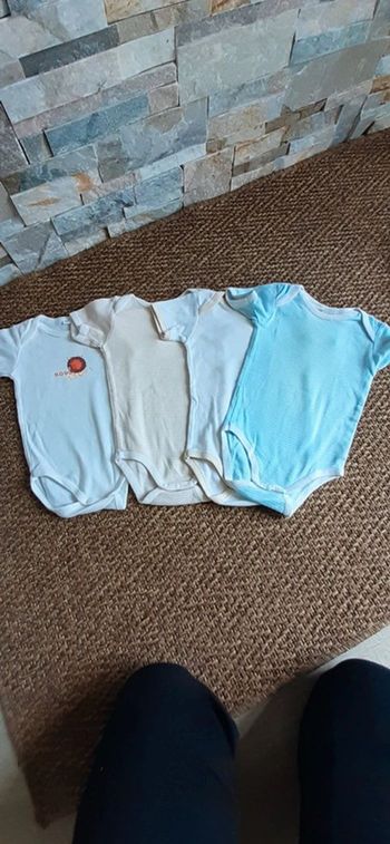 Lot de 4 bodies manches courtes 12 mois 74 cm