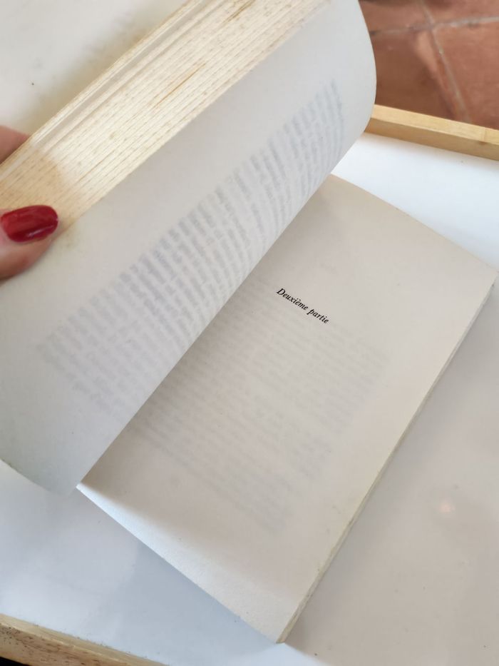 Les Noces Barbares, roman de Yann Queffélec - photo numéro 3