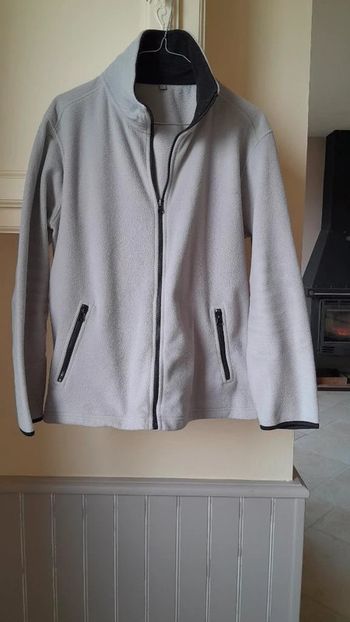 Polaire gris