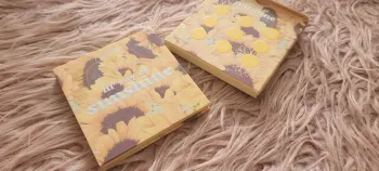 Palette lil' ray of sunshine