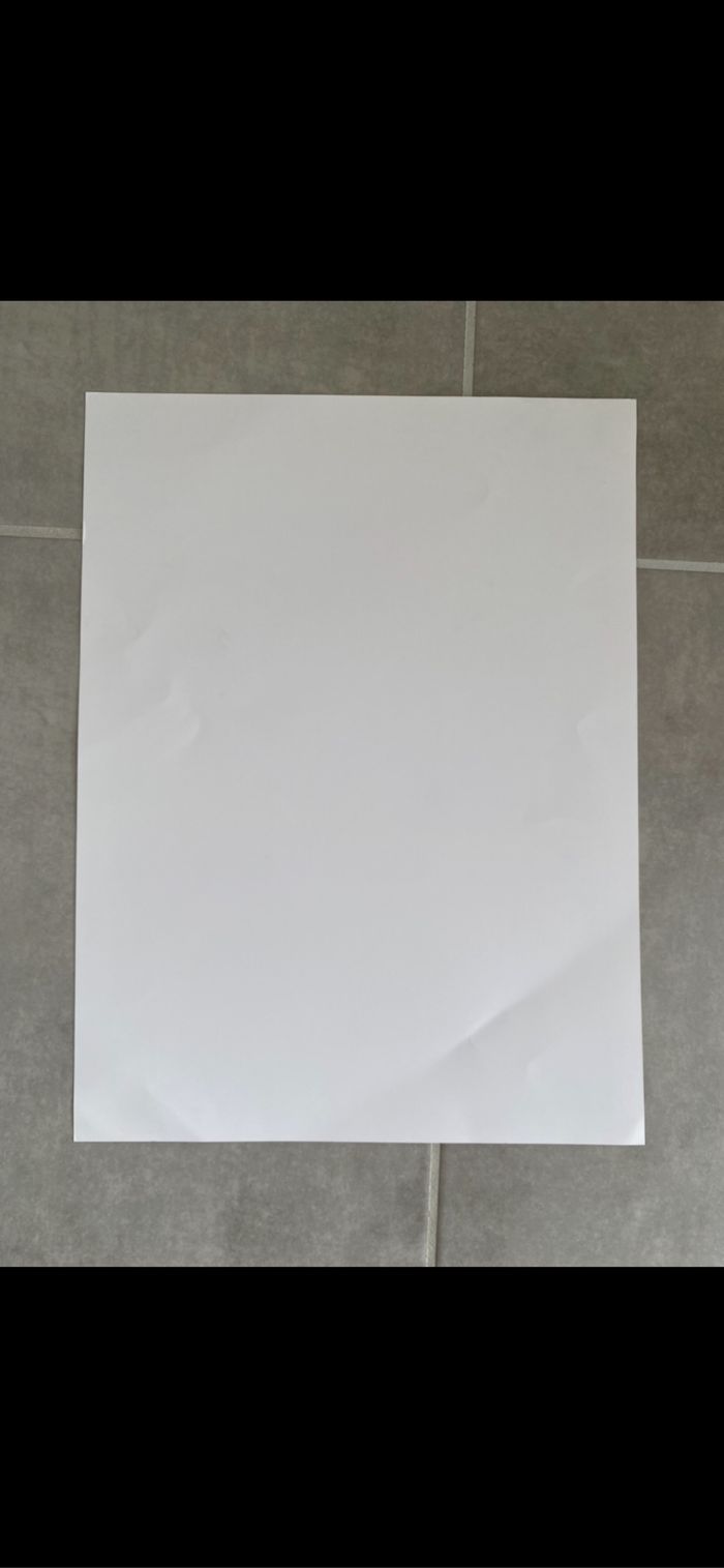 Photo portrait Tour Eiffel - photo numéro 3