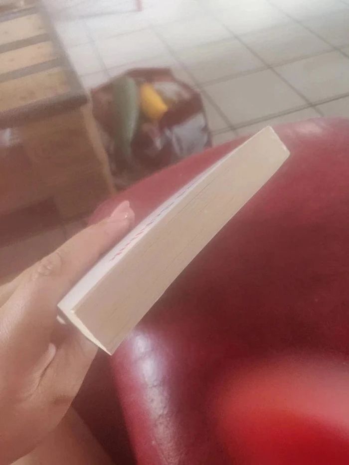 Le liseur The Reader De Bernhard Schlink - photo numéro 7