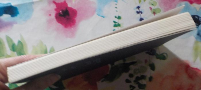 Les os des filles de Line Papin Ed. Stock - photo numéro 5