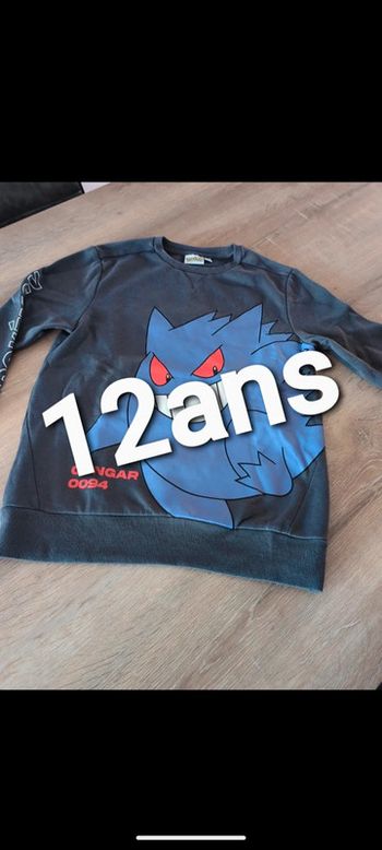 Pull pokémon garçon 12/13 ans