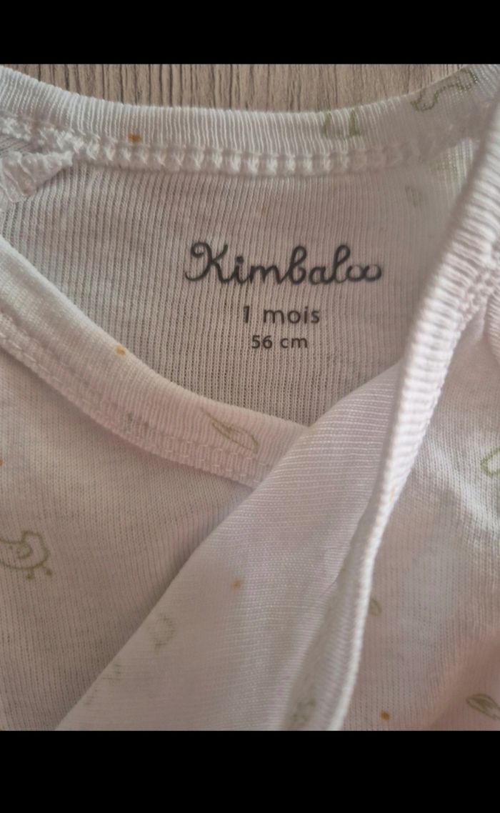 Lot bodies - photo numéro 3