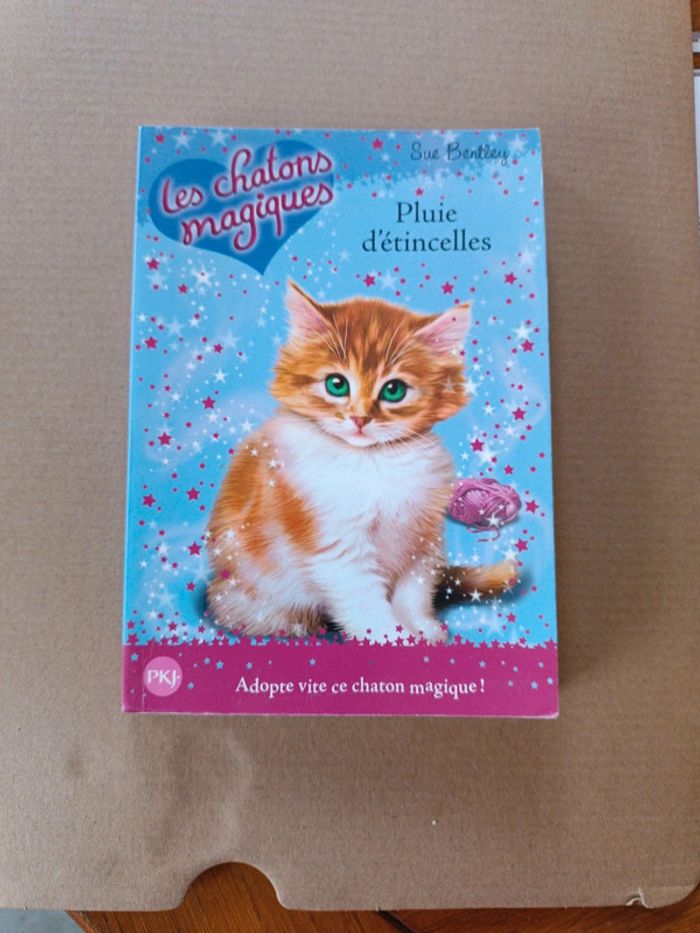 Les chatons magiques. Pluie d'étincelles