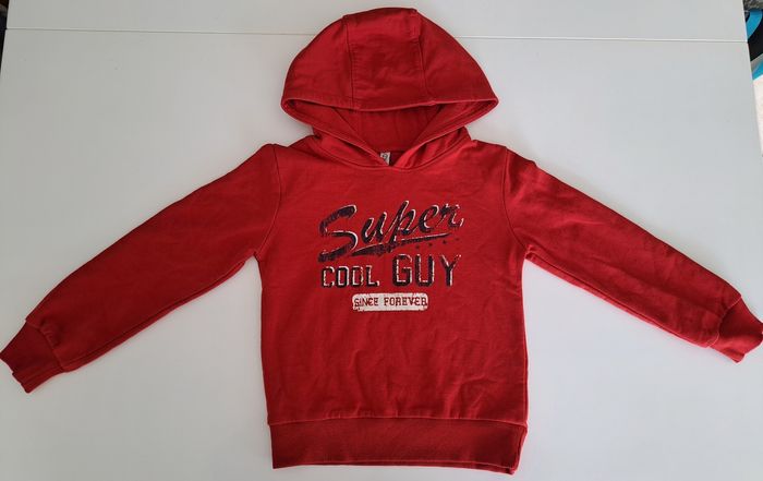 Sweat-shirt à capuche garçon 5 ans TBE - photo numéro 2