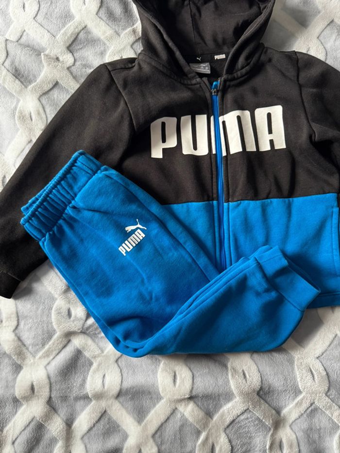 Ensemble puma - photo numéro 2