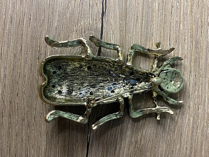 Broche coléoptère tendances - photo numéro 5