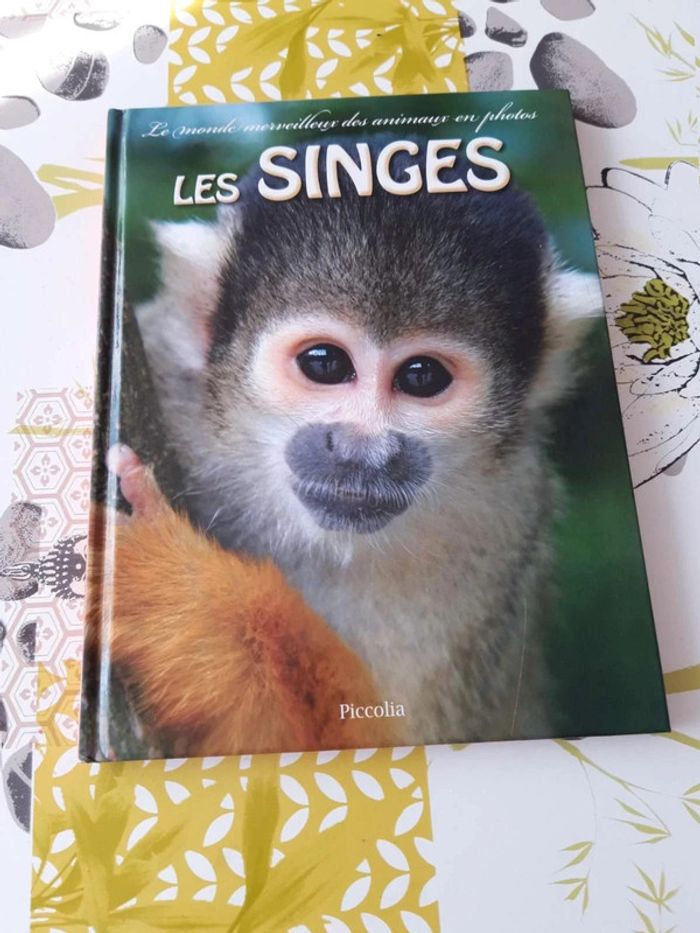 Livre :  Le monde  merveilleux des animaux  en  photos les singes