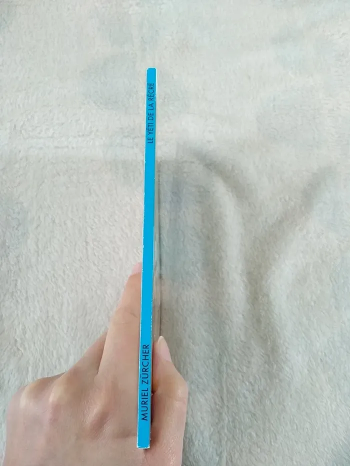 Le Yéti de la récré - photo numéro 4