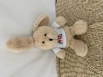 doudou lapin icts