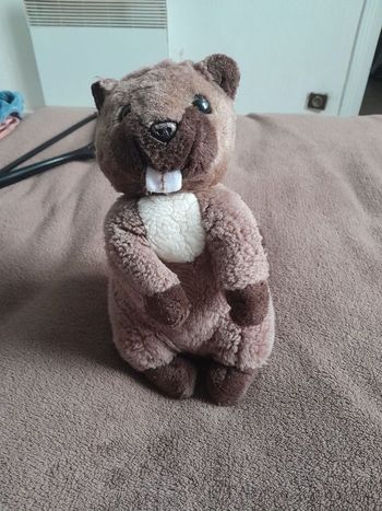 Peluche Castor JouéClub