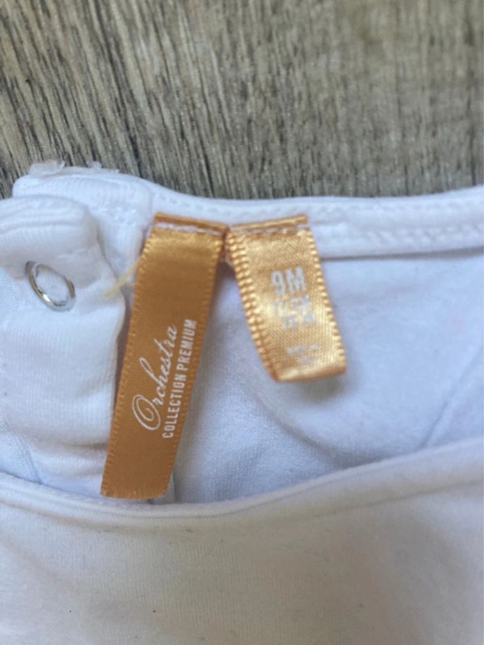 Enseignement 9 mois - photo numéro 3