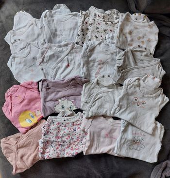 Lot 16 bodies ML 3 mois