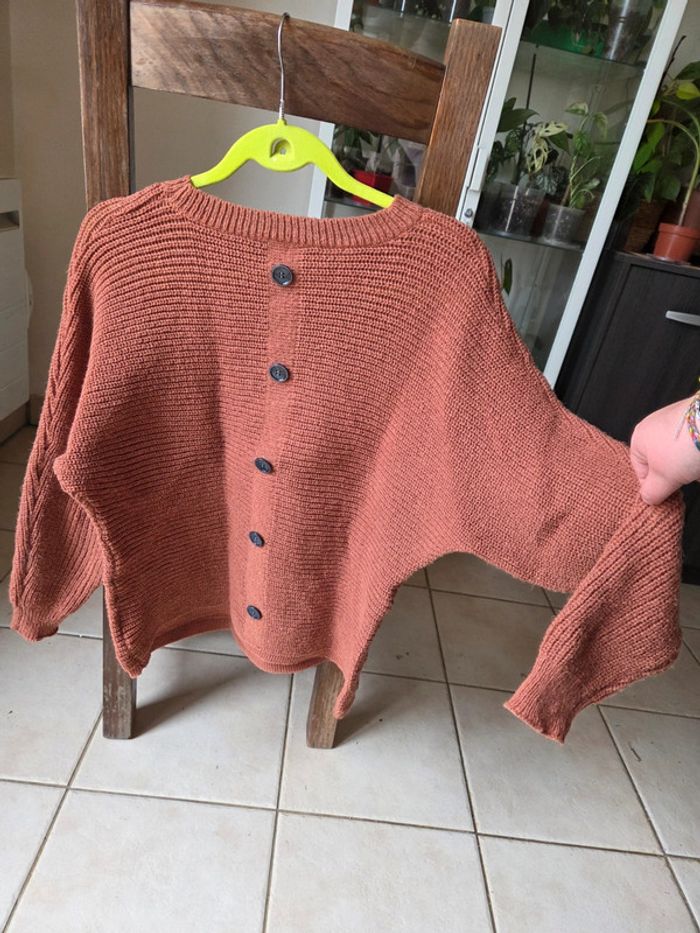 Pull camel - photo numéro 6