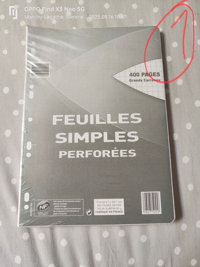 400 feuilles simples perforées grand carreaux 21x29.7cm - photo numéro 2