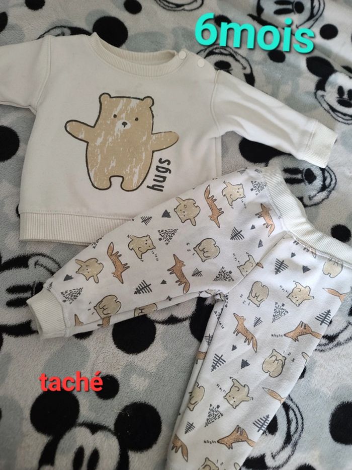 Ensemble ours 🐻