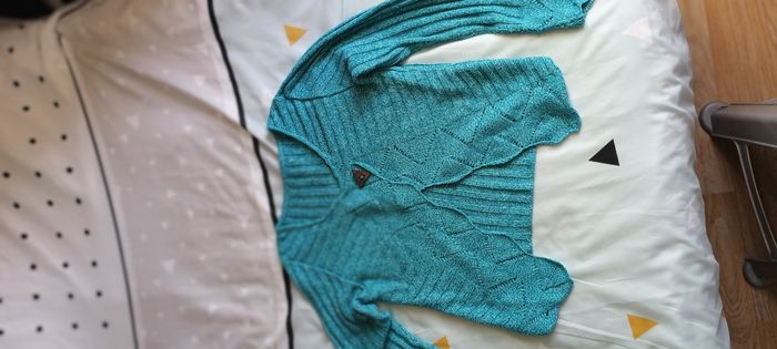 Gilet turqoise manches longues - photo numéro 4