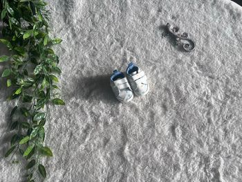 Petite Sneakers en 3/6mois 