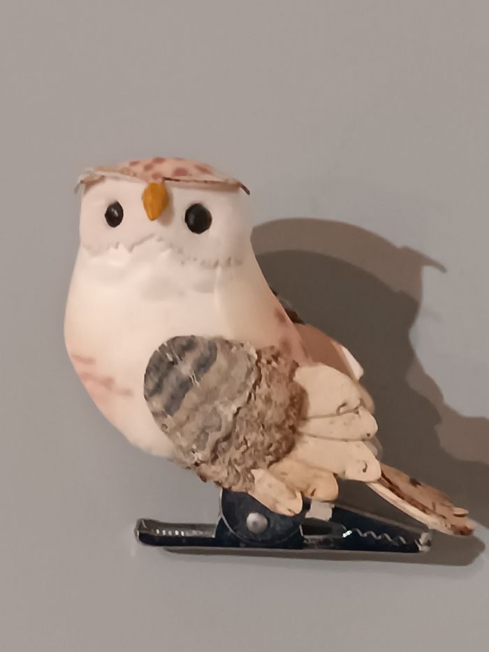 Chouette pince - photo numéro 6