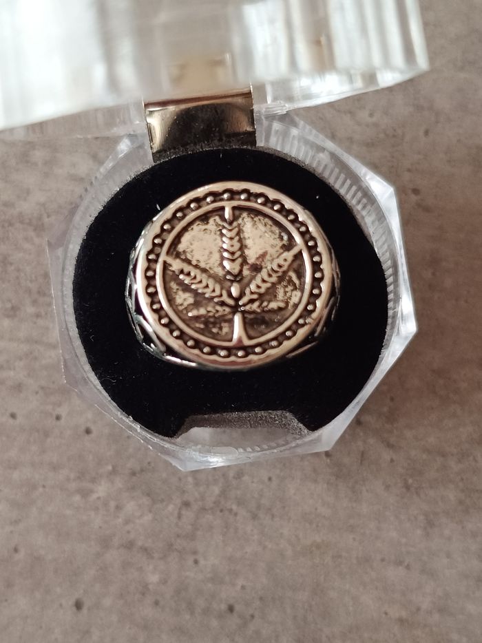 Bague homme - photo numéro 2